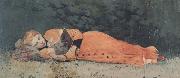 Winslow Homer The New Novel (mk44) Sweden oil painting artist